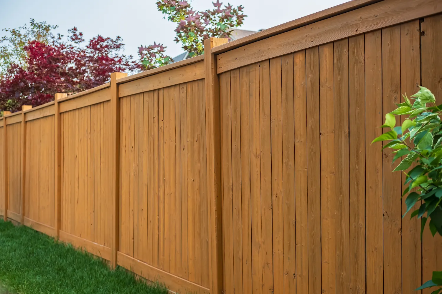 Featured Fencing Project